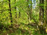 0 Salmon River Hwy - Photo 15