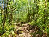 0 Salmon River Hwy - Photo 16