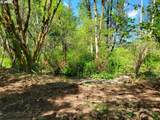 0 Salmon River Hwy - Photo 18