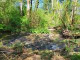 0 Salmon River Hwy - Photo 19