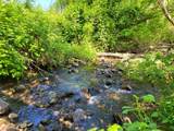 0 Salmon River Hwy - Photo 2