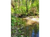 0 Salmon River Hwy - Photo 21