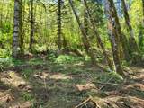 0 Salmon River Hwy - Photo 22