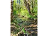 0 Salmon River Hwy - Photo 23