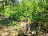 0 Salmon River Hwy - Photo 25