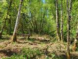 0 Salmon River Hwy - Photo 28