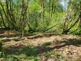 0 Salmon River Hwy - Photo 29