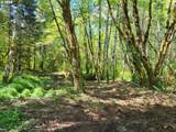 0 Salmon River Hwy - Photo 30