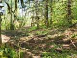0 Salmon River Hwy - Photo 31