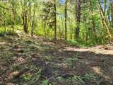 0 Salmon River Hwy - Photo 4