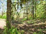 0 Salmon River Hwy - Photo 6