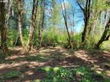 0 Salmon River Hwy - Photo 9