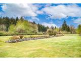28072 Bridges Ln - Photo 39