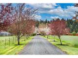28072 Bridges Ln - Photo 6