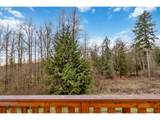 241 Oxbow Lake Ln - Photo 47