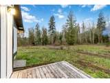 241 Oxbow Lake Ln - Photo 48