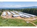 25641 Schockley Rd - Photo 2