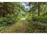 30004 Scappoose Vernonia Hwy - Photo 21