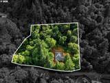 41205 Pumpkinseed Rd - Photo 2