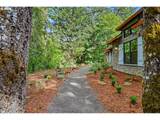41205 Pumpkinseed Rd - Photo 41