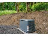 41205 Pumpkinseed Rd - Photo 43