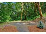 41205 Pumpkinseed Rd - Photo 44
