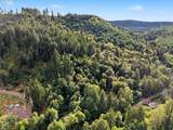 41205 Pumpkinseed Rd - Photo 47
