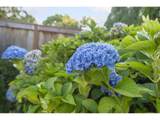 5920 208TH Ave - Photo 40