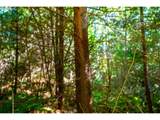  Hamlet Road - Photo 10