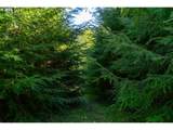  Hamlet Road - Photo 11