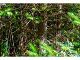  Hamlet Road - Photo 12