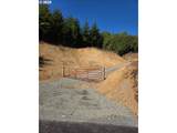  Hamlet Road - Photo 6