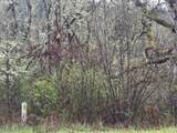 82750 Bear Creek Rd - Photo 3