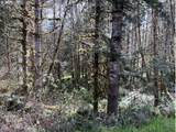  Northrup Creek Rd - Photo 13