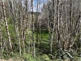  Northrup Creek Rd - Photo 16