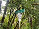  Northrup Creek Rd - Photo 21