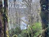  Northrup Creek Rd - Photo 6