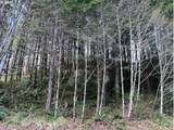  Northrup Creek Rd - Photo 8