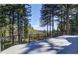 35601 Ammeter Rd - Photo 14