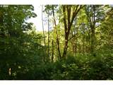 2429 Archwood Dr - Photo 1