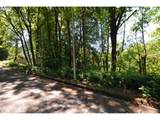 2429 Archwood Dr - Photo 3