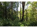 2429 Archwood Dr - Photo 4