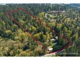 26020 Heaton Creek Dr - Photo 43
