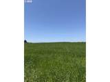 10042 Helmick Rd - Photo 5