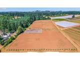 31909 Highway 211 - Photo 10