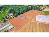 31909 Highway 211 - Photo 11