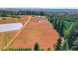 31909 Highway 211 - Photo 12