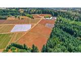 31909 Highway 211 - Photo 14