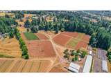31909 Highway 211 - Photo 17