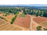 31909 Highway 211 - Photo 18